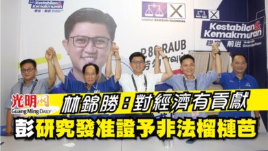 Photo of 林錦勝：對經濟有貢獻 彭研究發准證予非法榴槤芭