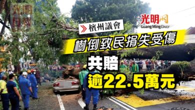 Photo of 【檳州議會】樹倒致民捐失受傷 共賠逾22.5萬元