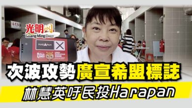 Photo of 次波攻勢廣宣希盟標誌 林慧英吁民投Harapan