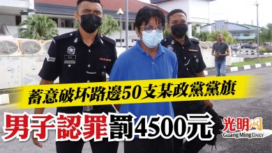 Photo of 蓄意破坏路邊50支某政黨黨旗  男子認罪罰4500元