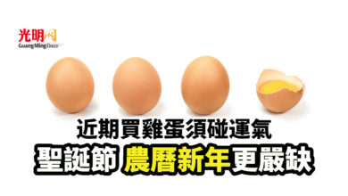 Photo of 近期買雞蛋須碰運氣 聖誕節 農曆新年更嚴缺