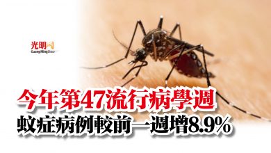Photo of 今年第47流行病學週  蚊症病例較前一週增8.9%
