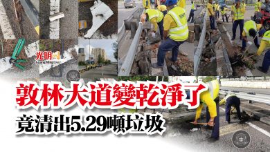 Photo of 敦林大道變乾淨了  竟清出5.29噸垃圾