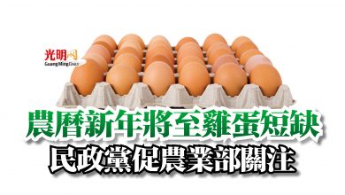 Photo of 農曆新年將至雞蛋短缺  民政黨促農業部關注