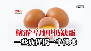 Photo of 檳霹雪丹甲仍缺蛋  一些店僅獲一半供應