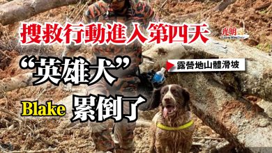 Photo of 【露營地山體滑坡】搜救行動進入第四天  “英雄犬”累倒了