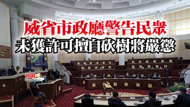 Photo of 威省市政廳警告民眾 未獲許可擅自砍樹將嚴懲