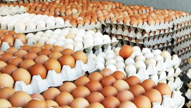 Photo of 【國會】安華：22日起 每天進口200萬至1千萬粒雞蛋
