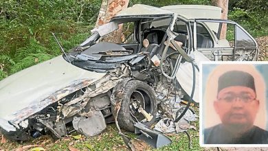 Photo of 車撞樹 教局職員亡