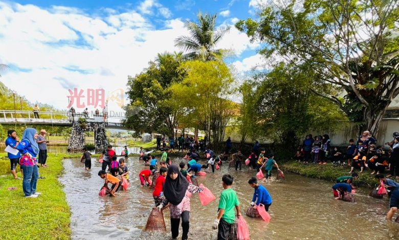 孩童們聚在水中不斷尋找水中魚兒。