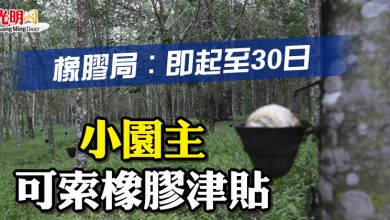 Photo of 橡膠局：即起至30日   小園主可索橡膠津貼