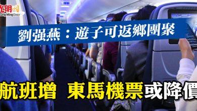 Photo of 航班增 東馬機票或降價    劉強燕：遊子可返鄉團聚