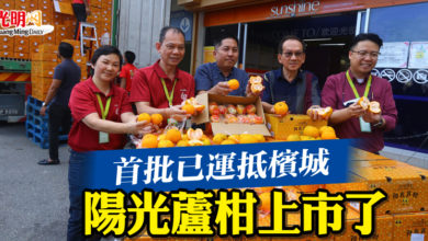 Photo of 首批已運抵檳城  陽光蘆柑上市了