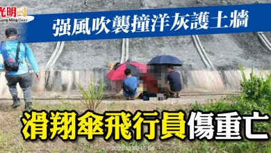 Photo of 強風吹襲撞洋灰護土牆 滑翔傘飛行員傷重亡