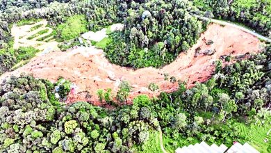 Photo of 【露營地山體滑坡】JMG：露營地斜坡 未列危險監測名單