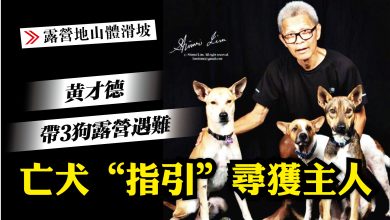Photo of 【露營地山體滑坡】帶3狗露營遇難 亡犬“指引”尋獲黃才德