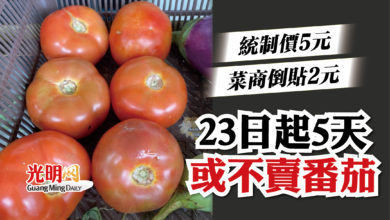 Photo of 統制價5元 菜商倒貼2元  23日起5天或不賣番茄