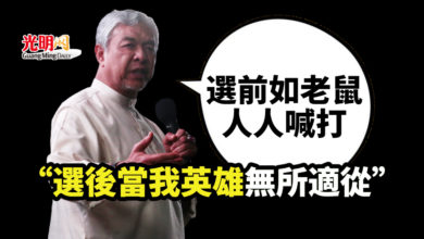 Photo of 扎希：選前如老鼠人人喊打 “選後當我英雄無所適從”