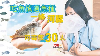 Photo of 【食物中毒專題】吃魚慎選魚種 一條河豚可毒死30人