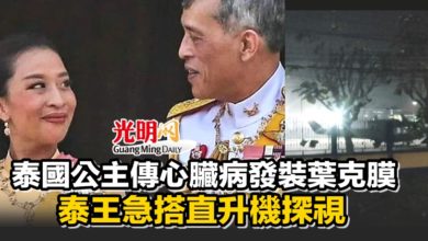 Photo of 泰國公主傳心臟病發裝葉克膜 泰王急搭直升機探視