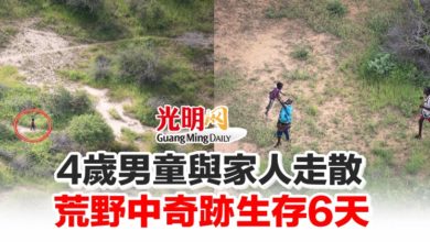 Photo of 4歲男童與家人走散 荒野中奇跡生存6天