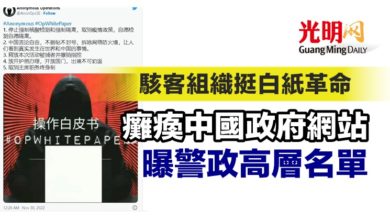 Photo of 駭客組織挺白紙革命 癱瘓中國政府網站 曝警政高層名單