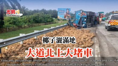 Photo of 椰子灑滿地 大道北上大堵車