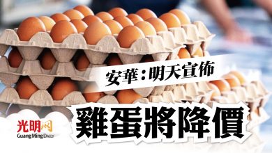Photo of 雞蛋將降價 安華：明天宣佈
