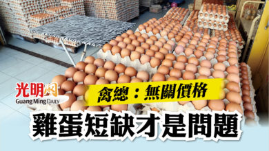 Photo of 禽總：無關價格  雞蛋短缺才是問題