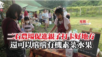 Photo of 二石農場促進親子打卡好地方  還可以嚐嚐有機素菜水果
