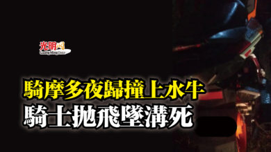 Photo of 騎摩多夜歸撞上水牛  騎士拋飛墜溝死