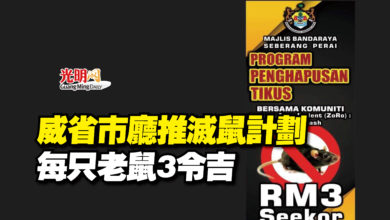 Photo of 威省市廳推滅鼠計劃  每只老鼠3令吉