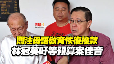 Photo of 關注母語教育恢復撥款  林冠英吁等預算案佳音