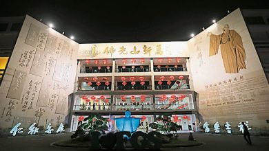 Photo of 57呎“光之樹”仿宮崎駿之作 過年來新馬寺賞燈