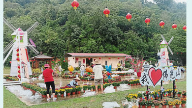 Photo of 佛光山20日十二生肖亮燈 義工冒雨擺千盆菊花