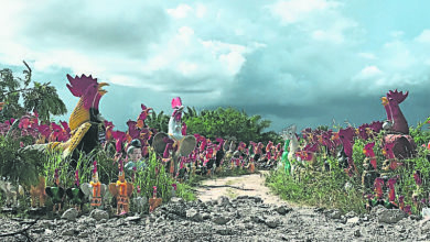 Photo of 泰南寺廟靈驗  還願公雞雕像擺滿路