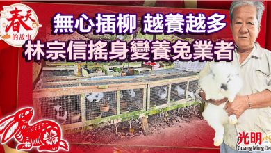 Photo of 【春天的故事】無心插柳 越養越多 林宗信搖身變養兔業者