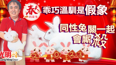 Photo of 【春天的故事】乖巧溫馴是假象？ 同性兔關一起會廝殺