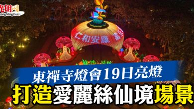 Photo of 東禪寺燈會19日亮燈   打造愛麗絲仙境場景