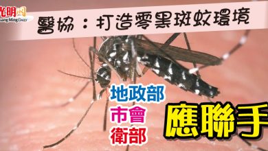 Photo of 醫協：打造零黑斑蚊環境   地政部 市會 衛部應聯手