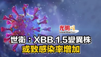 Photo of 世衛：XBB.1.5變異株 或致感染率增加