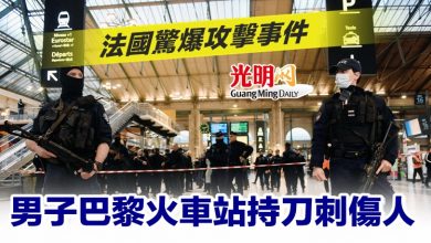 Photo of 法國驚爆攻擊事件 男子巴黎火車站持刀刺傷人