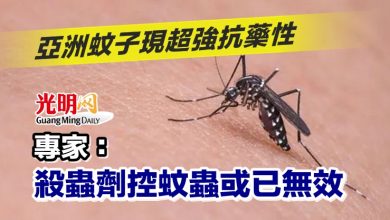 Photo of 亞洲蚊子現超強抗藥性 專家：殺蟲劑控蚊蟲或已無效