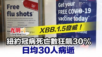 Photo of XBB.1.5發威！ 紐約冠病死亡數狂飆30% 日均30人病逝