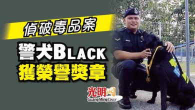 Photo of 偵破毒品案 警犬Black獲榮譽獎章