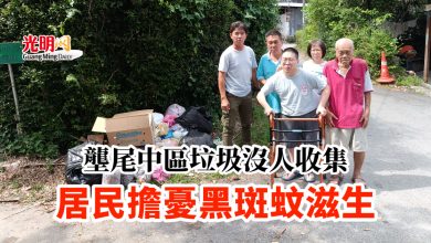 Photo of 壟尾中區垃圾沒人收集 居民擔憂黑斑蚊滋生