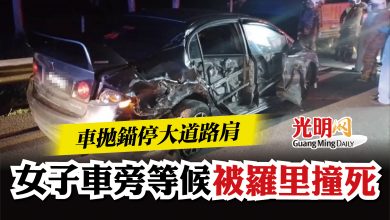 Photo of 車拋錨停大道路肩  女子車旁等候被羅里撞死