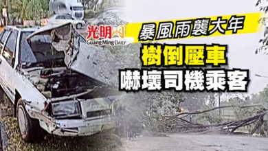 Photo of 暴風雨襲大年 樹倒壓車嚇壞司機乘客
