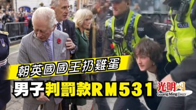 Photo of 朝英國國王扔雞蛋 男子判罰款RM531