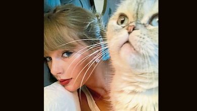 Photo of 泰勒絲愛貓身價 全球最富有排名第3